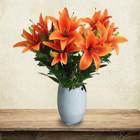 Just Lillies - Orange