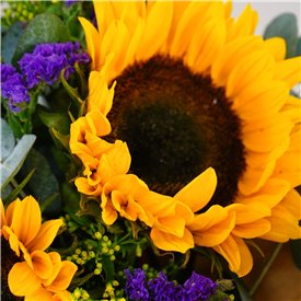 Sunflower Breeze Giftbox