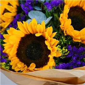 Sunflower Breeze Giftbox