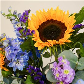 Sunflower Dreams