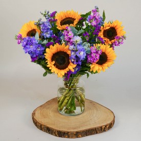 Sunflower Dreams