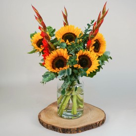 Sunflower Radiance