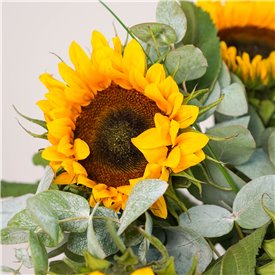 Simply Sunflowers