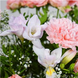 Luscious Pinks