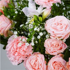 Luscious Pinks