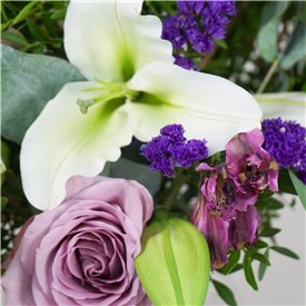 Purple Passion 