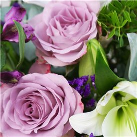 Purple Passion 