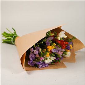 Just Freesia
