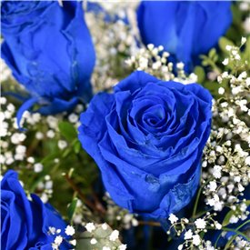 The Flower of Love - Blue