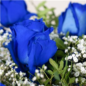 The Flower of Love - Blue