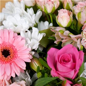 Strawberries and Cream Giftbox