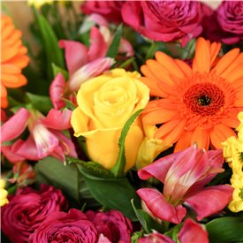 Vibrant Charm Giftbox