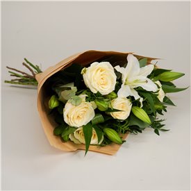 White Harmony