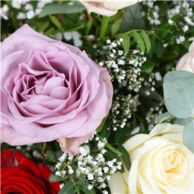The Flower of Love - Mixed