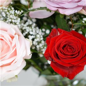 The Flower of Love - Mixed