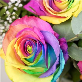 The Flower of Love - Rainbow