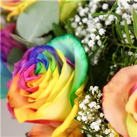 The Flower of Love - Rainbow