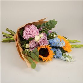 Hydrangea Daydream