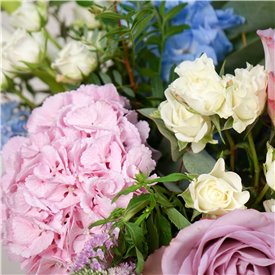 Hydrangea Daydream