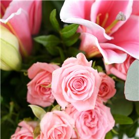 Pink Blush