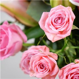 Pink Blush
