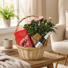 Rose plant gift basket