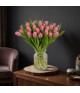 Pink Tulips