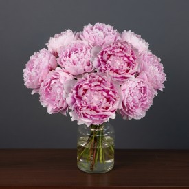 Perfect Peony Pink