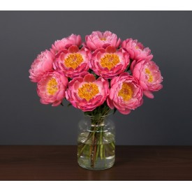 Perfect Peony Coral