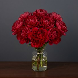 Perfect Peony Red