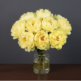 Perfect Peony Yellow