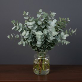 Eucalyptus Cinerea Letterbox