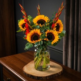Sunflower Radiance