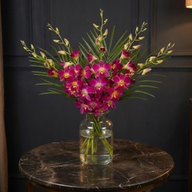 Orchid Passion
