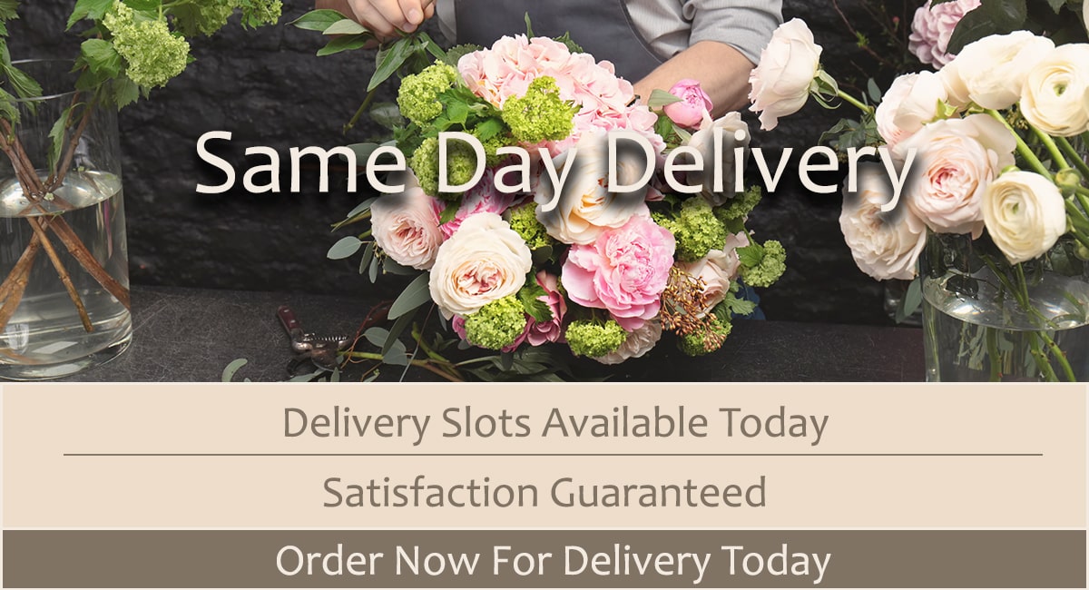 Sane Day Delivery