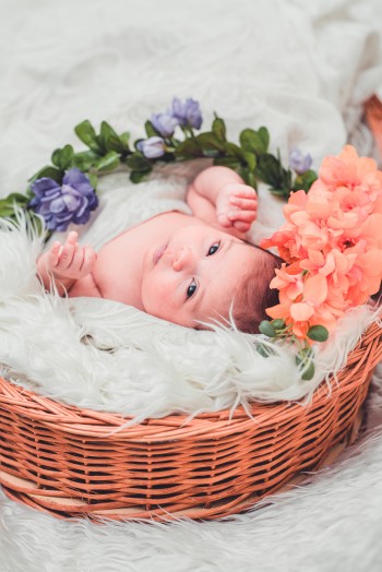 Four reasons why we buy flowers to celebrate a new baby