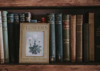 Floral Literature and metaphor in the western canon