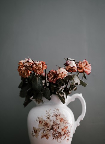 Five things to do with your dead flowers