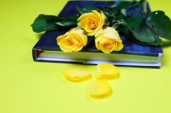 Four Beautiful Anniversary Flower Bouquets